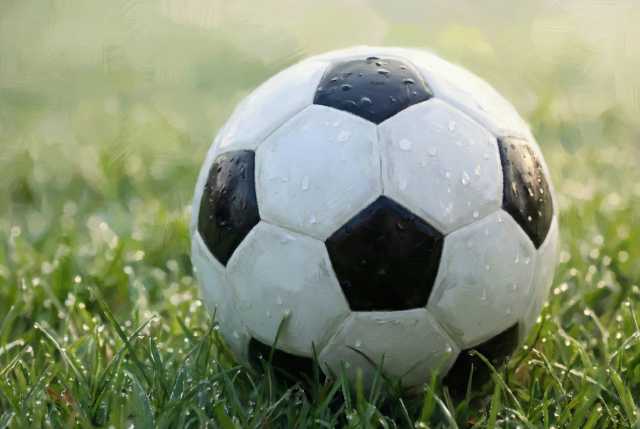 classic-soccer-ball-on-grass-with-dew