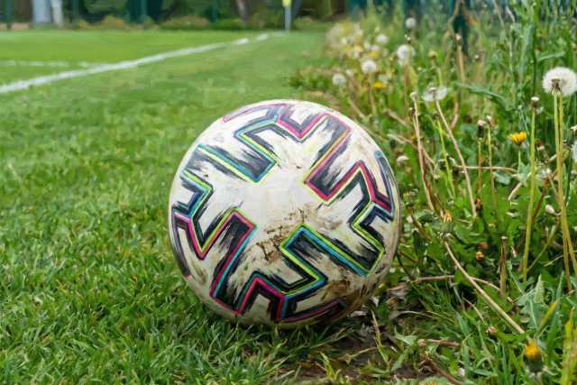 colorful-soccer-ball-beside-wildflowers-and-grass